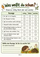 Vorschau - Stundenentwürfe - Igel und Maulwurf im Herbst | Sachunterricht Klasse 2–4 · Forscherheft & Citizen Science - Seite 2