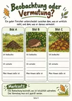 Vorschau - Stundenentwürfe - Igel und Maulwurf im Herbst | Sachunterricht Klasse 2–4 · Forscherheft & Citizen Science - Seite 3