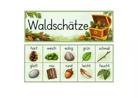 Vorschau - Arbeitsblätter - Wald - Waldschätze im Eierkarton, Ausflug Wald - Seite 3
