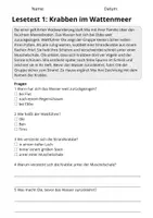 Vorschau - Arbeitsblätter - Lesetest Klasse 3 – Meerestiere | 10 Lesetexte - Seite 2
