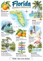 Vorschau - Arbeitsblätter - Lernplakat + Arbeitsblätter zum Thema "Florida" + Lösung & MP3 + Mindmap + Infografik - Deckblatt