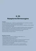 Vorschau - Stundenentwürfe - Die Haut - 6. DS Rezeptoren/Sinnesorgane - Seite 1