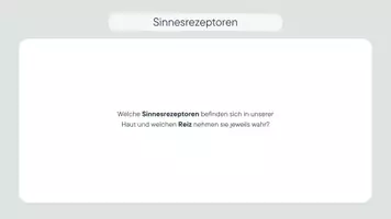 Vorschau - Stundenentwürfe - Die Haut - 6. DS Rezeptoren/Sinnesorgane - Seite 2