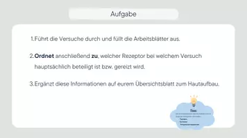 Vorschau - Stundenentwürfe - Die Haut - 6. DS Rezeptoren/Sinnesorgane - Seite 3