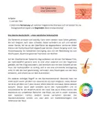 Vorschau - Stundenentwürfe - Materialpaket - Die Haut - Seite 1