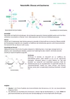 Vorschau - Arbeitsblätter - Materialpaket: Naturstoffe (Glucose, Stärke, Aminosäuren ...) - Seite 1