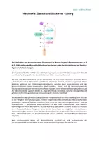 Vorschau - Arbeitsblätter - Materialpaket: Naturstoffe (Glucose, Stärke, Aminosäuren ...) - Seite 2