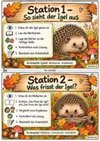 Vorschau - Stundenentwürfe - Der Igel - Seite 2