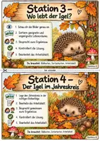 Vorschau - Stundenentwürfe - Der Igel - Seite 3