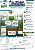 Vorschau - Merkblätter - Nährstoffkreislauf im tropischen Regenwald - Schneller Kreislauf auf nährstoffarmen Boden - Merkblatt Erdkunde Sek 1 - Deckblatt