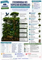 Vorschau - Merkblätter - Landschaften & Ökosysteme - 11 Merkblätter zu Klima- und Vegetationszonen - Erdkunde Sek I - Seite 1