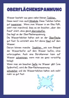 Vorschau - Arbeitsblätter - Was schwimmt, was sinkt? Sach- und Lückentexte für Grundschule - Seite 2