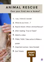 Vista previa - Hojas de trabajo - Animal Rescue Reading & Speaking Activities for Upper Primary - página 1