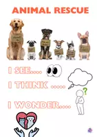 Vista previa - Hojas de trabajo - Animal Rescue Reading & Speaking Activities for Upper Primary - página 2