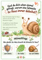 Vorschau - Arbeitsblätter - Warum haben Schnecken ein Haus | Entdeckerset für Kita & Vorschule - Seite 2