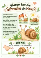 Vorschau - Arbeitsblätter - Warum haben Schnecken ein Haus | Entdeckerset für Kita & Vorschule - Seite 3