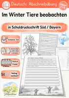Vorschau - Unterrichtsreihen - Abschreibübung in 7 Schul-Druckschriften "Im Winter Tiere beobachten" (D-A-CH) - Seite 1
