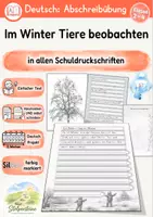 Vorschau - Unterrichtsreihen - Abschreibübung in 7 Schul-Druckschriften "Im Winter Tiere beobachten" (D-A-CH) - Deckblatt
