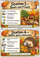 Vorschau - Stundenentwürfe - Laubbäume Im Herbst - Seite 3