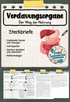 Vorschau - Stundenentwürfe - Verdauungsorgane - Steckbriefe und Sachtexte - Deckblatt