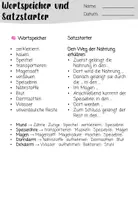 Vorschau - Stundenentwürfe - Verdauungsorgane - Steckbriefe und Sachtexte - Seite 1