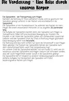 Vorschau - Stundenentwürfe - Verdauungsorgane - Steckbriefe und Sachtexte - Seite 3