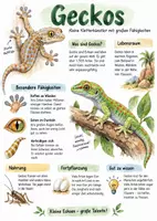 Vorschau - Arbeitsblätter - Lernplakat + Arbeitsblätter zum Thema "Geckos" + Lösung & MP3 + Infografik - Deckblatt