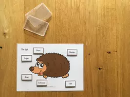 Vorschau - Arbeitsblätter - Igel Materialpaket / SPARPAKET - Seite 2