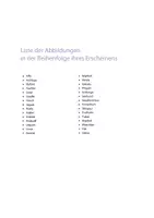 Vorschau - Stundenentwürfe - DaZ Klasse 3 - Zoo Tiere - Wortschatz entdecken, verstehen und anwenden - Seite 2
