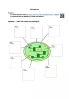 Vorschau - Stundenentwürfe - Materialpaket UV Grundlagen Stoffwechsel/ Stoffwechselbiologie - Seite 3