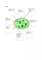 Vorschau - Arbeitsblätter - Chloroplasten - Seite 3