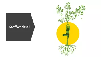 Vorschau - Stundenentwürfe - Einstieg Stoffwechsel - Anabolismus und Katabolismus - Seite 2