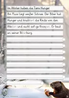 Vorschau - Unterrichtsreihen - Abschreibübung in Grundschrift "Futtersuche im Winter" (Tiere im Winter) - Seite 2
