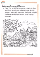 Vorschau - Arbeitsblätter - Ökologie und Umweltschutz – Lernmaterial - Seite 2
