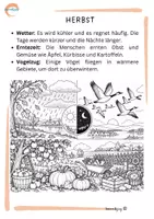 Vorschau - Arbeitsblätter - Die vier Jahreszeiten – Veränderungen in der Natur entdecken - Seite 2