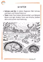 Vorschau - Arbeitsblätter - Die vier Jahreszeiten – Veränderungen in der Natur entdecken - Seite 3