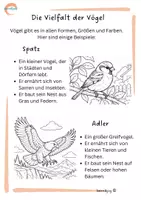 Vorschau - Arbeitsblätter - Vögel und ihre Welt – Lernpaket für den Sachunterricht - Seite 1