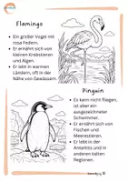Vorschau - Arbeitsblätter - Vögel und ihre Welt – Lernpaket für den Sachunterricht - Seite 2