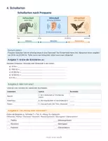 Vorschau - Arbeitsblätter - Arbeitsblatt Schall Schallausbreitung Schallgeschwindigkeit Ultraschall Schallquellen Physik - Seite 3