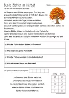 Vorschau - Arbeitsblätter - Lesen & Verstehen - Im Herbst (Klasse 1-2) - Seite 2