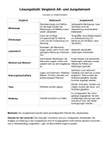 Vorschau - Arbeitsblätter - Vergleich: Alt- und Jungsteinzeit - Seite 3