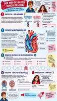 Vorschau - Stundenentwürfe - 🫀💓 Unterrichtsreihe Herz & Herz-Kreislauf-System | Biologie Klasse 7/8 🫁 Arbeitsblätter + Lösungen + Puls-Experiment + Einstieg & Ausstieg + 90-Min.-Unterrichtsplanung Biologie (Bio) - Deckblatt