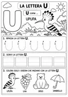 anteprima - Altro tipo di materiale - Schede didattiche lettera U - Pagina 1