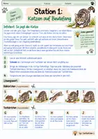 Vorschau - Arbeitsblätter - Katze: Stationenlernen (Jagdverhalten, Gebiss, Sinne, Test) - Seite 1