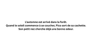 Aperçu - Cartes / Images - Kamishibaï | Pico, le hérisson gourmand | Les petits animaux de l’automne - Page 2