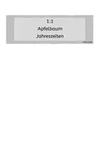 Vorschau - Fördermaterial/Inklusion - Der Apfelbaum zu allen Jahreszeiten - Seite 1