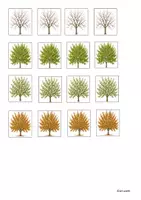 Vorschau - Fördermaterial/Inklusion - Der Apfelbaum zu allen Jahreszeiten - Seite 3