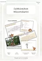 Vorschau - Unterrichtsreihen - Eichhörnchen - Wissenskartei ergänzend + digitale Tafel - Deckblatt
