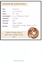 Vorschau - Unterrichtsreihen - Eichhörnchen - Wissenskartei ergänzend + digitale Tafel - Seite 3