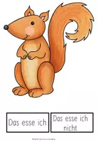 Vorschau - Unterrichtsreihen - Eichhörnchen - Was frisst das Eichhörnchen - Seite 3